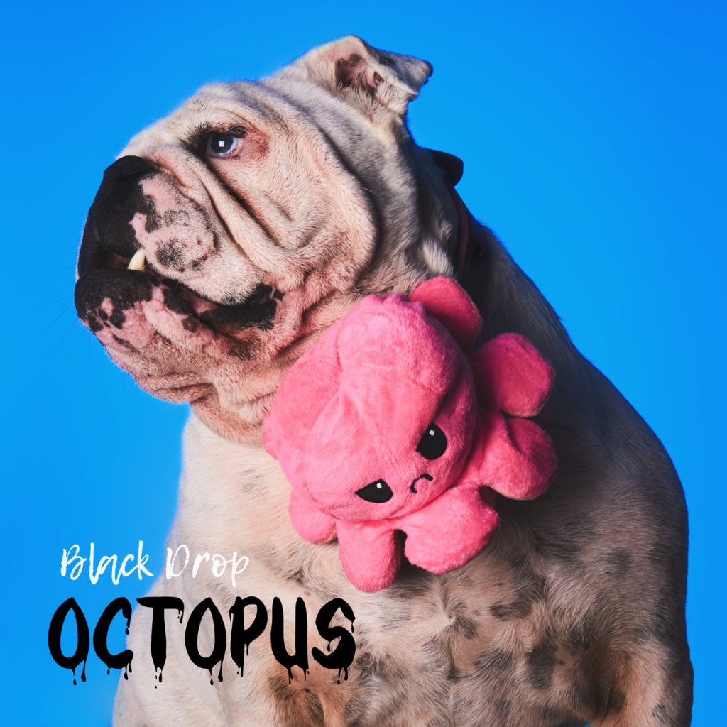 Bandcamp of the Day: Octopus by Black Drop